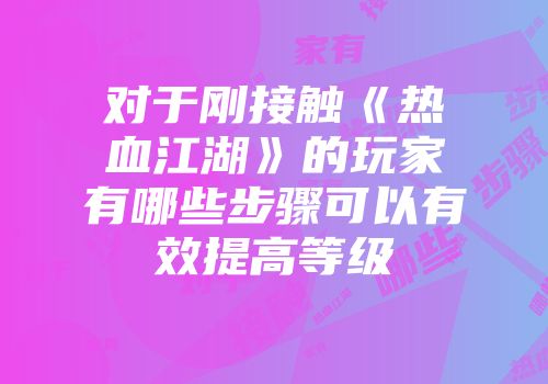 对于刚接触《热血江湖》的玩家有哪些步骤可以有效提高等级