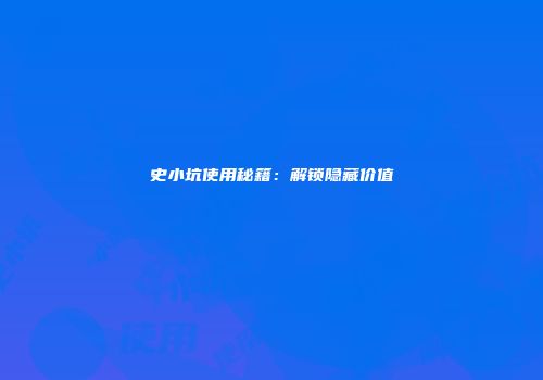 史小坑使用秘籍：解锁隐藏价值