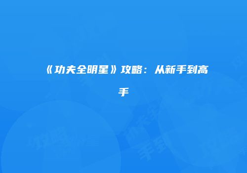 《功夫全明星》攻略：从新手到高手
