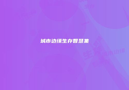 城市边缘生存智慧集