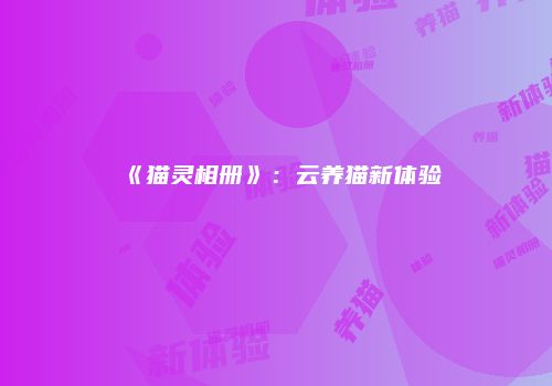 《猫灵相册》：云养猫新体验