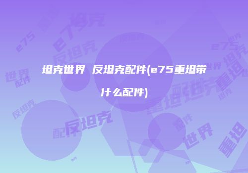 坦克世界 反坦克配件(e75重坦带什么配件)