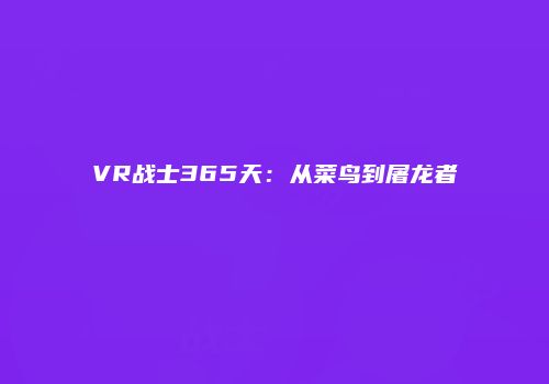VR战士365天：从菜鸟到屠龙者