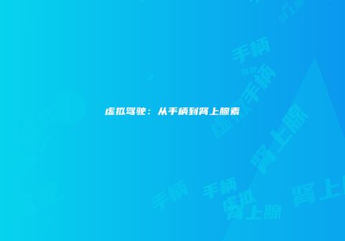 虚拟驾驶：从手柄到肾上腺素