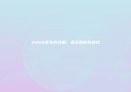 2089区生存攻略：老王教你玩游戏