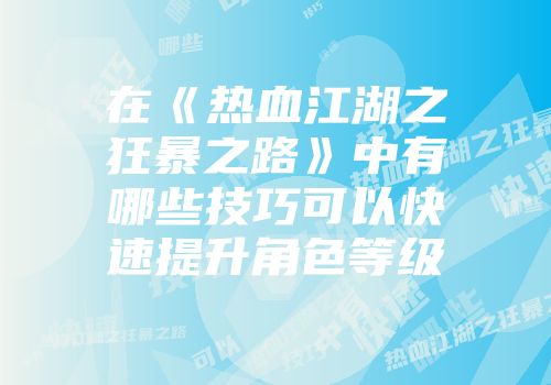 在《热血江湖之狂暴之路》中有哪些技巧可以快速提升角色等级
