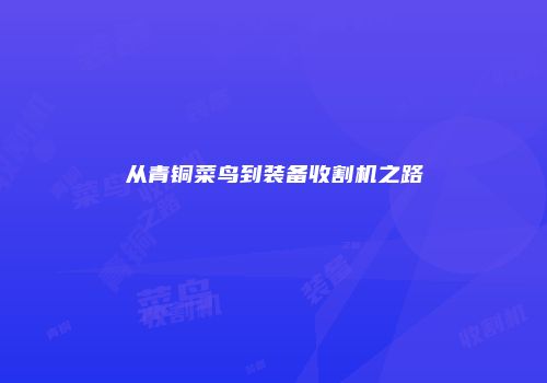 从青铜菜鸟到装备收割机之路