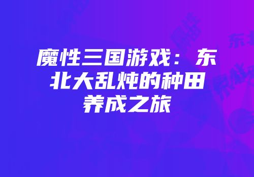 魔性三国游戏：东北大乱炖的种田养成之旅