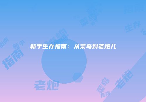 新手生存指南：从菜鸟到老炮儿