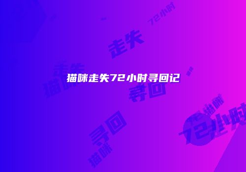 猫咪走失72小时寻回记