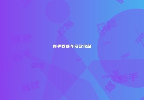 新手教练车驾驶攻略