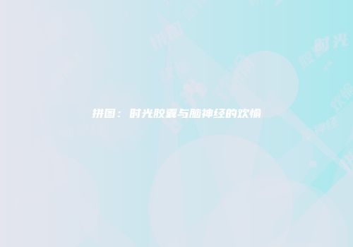 拼图：时光胶囊与脑神经的欢愉