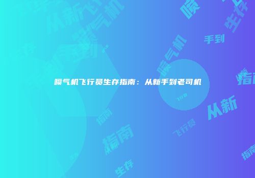 喷气机飞行员生存指南：从新手到老司机