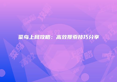 菜鸟上网攻略：高效搜索技巧分享