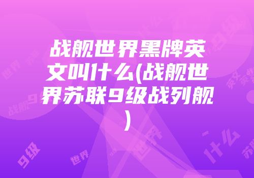 战舰世界黑牌英文叫什么(战舰世界苏联9级战列舰)