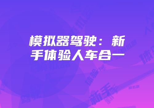 模拟器驾驶：新手体验人车合一