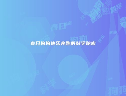 春日狗狗快乐奔跑的科学秘密