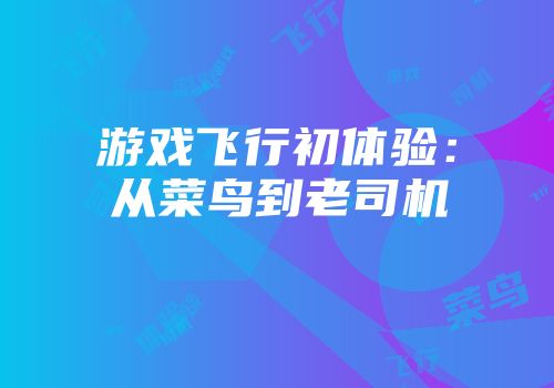 游戏飞行初体验：从菜鸟到老司机