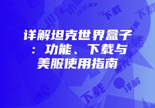 详解坦克世界盒子：功能、下载与美服使用指南