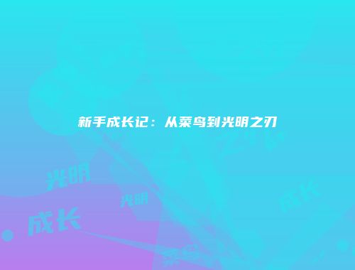 新手成长记：从菜鸟到光明之刃