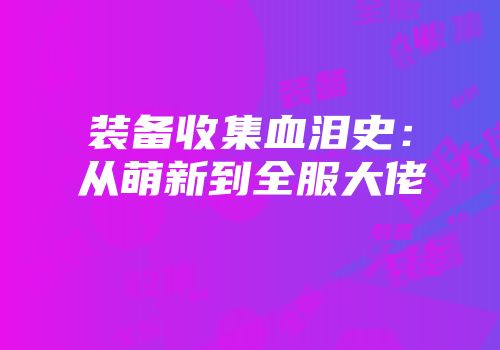 装备收集血泪史：从萌新到全服大佬