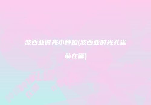 波西亚时光小种植(波西亚时光孔雀菊在哪)