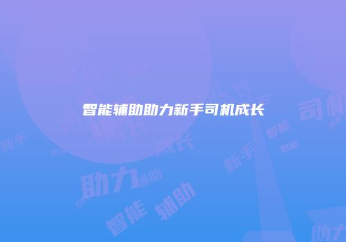 智能辅助助力新手司机成长