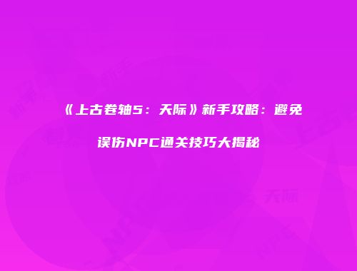《上古卷轴5：天际》新手攻略：避免误伤NPC通关技巧大揭秘
