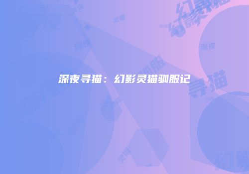 深夜寻猫：幻影灵猫驯服记