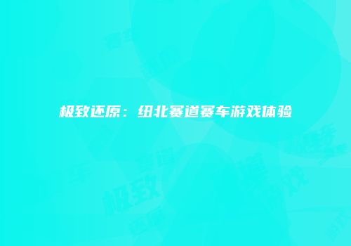 极致还原：纽北赛道赛车游戏体验