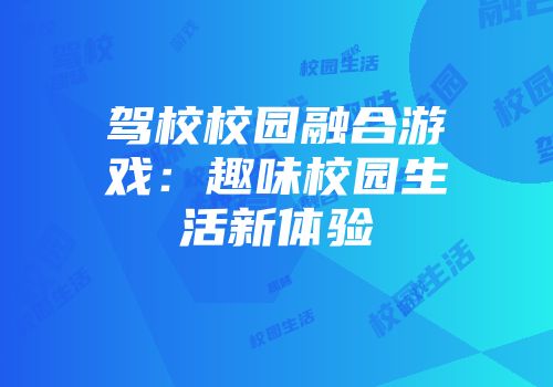 驾校校园融合游戏：趣味校园生活新体验