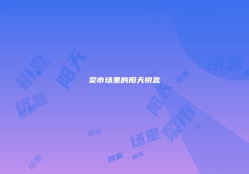 菜市场里的阳天钥匙