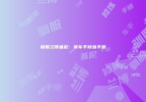 驯服兰博基尼：赛车手修炼手册