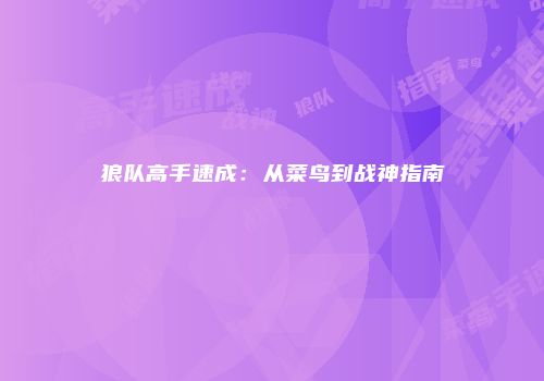 狼队高手速成：从菜鸟到战神指南