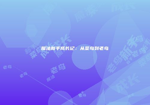 魔法新手成长记：从菜鸟到老鸟