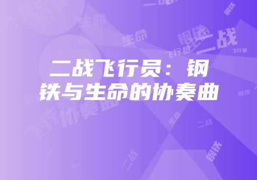 二战飞行员：钢铁与生命的协奏曲