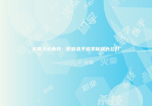 火柴人必杀技：职业选手偷学秘籍大公开