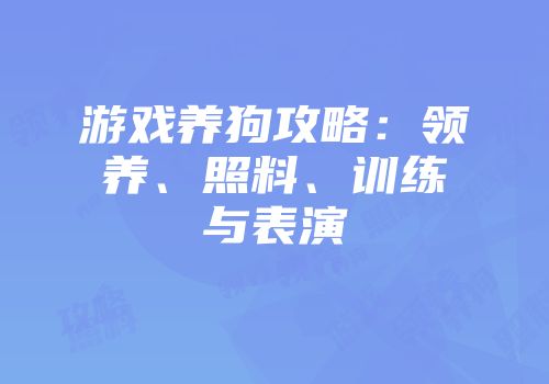 游戏养狗攻略：领养、照料、训练与表演
