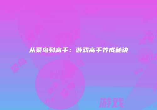从菜鸟到高手：游戏高手养成秘诀