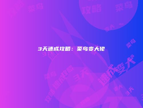 3天速成攻略：菜鸟变大佬