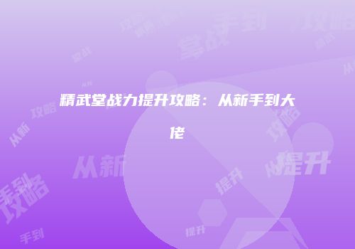 精武堂战力提升攻略：从新手到大佬