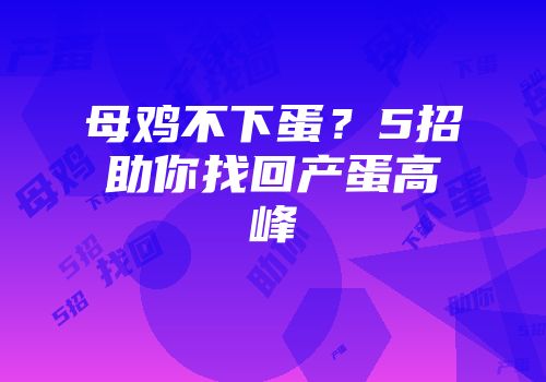 母鸡不下蛋？5招助你找回产蛋高峰