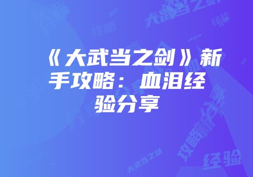 《大武当之剑》新手攻略：血泪经验分享