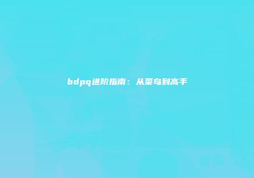 bdpq进阶指南：从菜鸟到高手