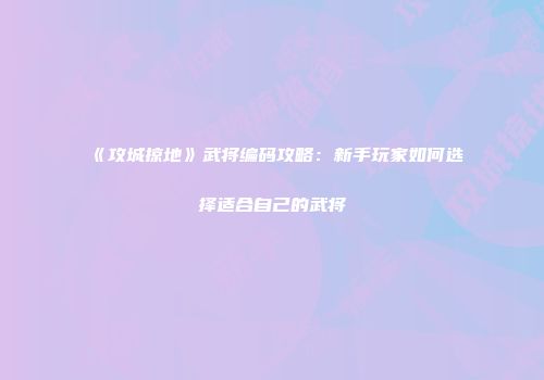 《攻城掠地》武将编码攻略：新手玩家如何选择适合自己的武将