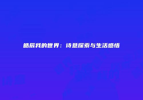 皓辰我的世界：诗意探索与生活感悟