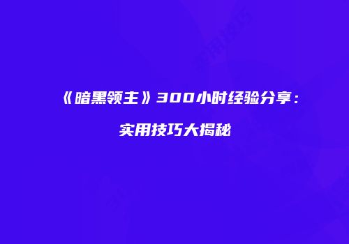 《暗黑领主》300小时经验分享：实用技巧大揭秘