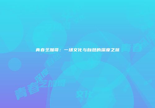 青春芝加哥：一场文化与自然的深度之旅
