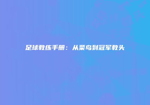 足球教练手册：从菜鸟到冠军教头