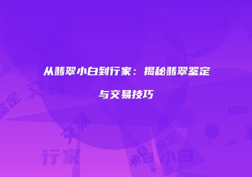 从翡翠小白到行家：揭秘翡翠鉴定与交易技巧